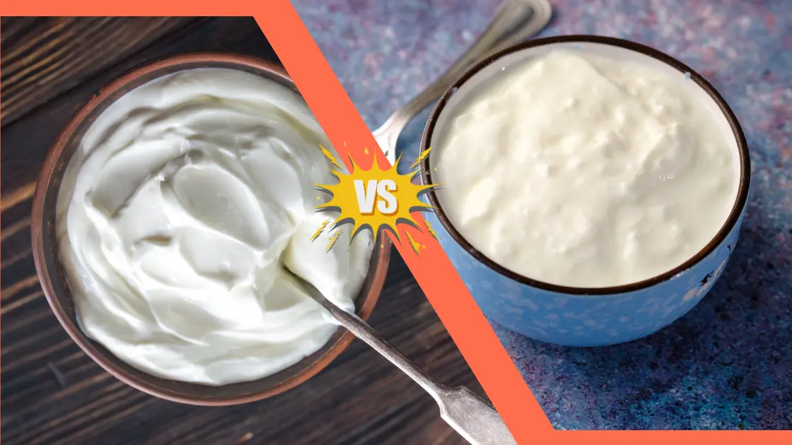 Low Fat Yogurt vs. Regular Yogurt: Which is Better Low Fat Yogurt