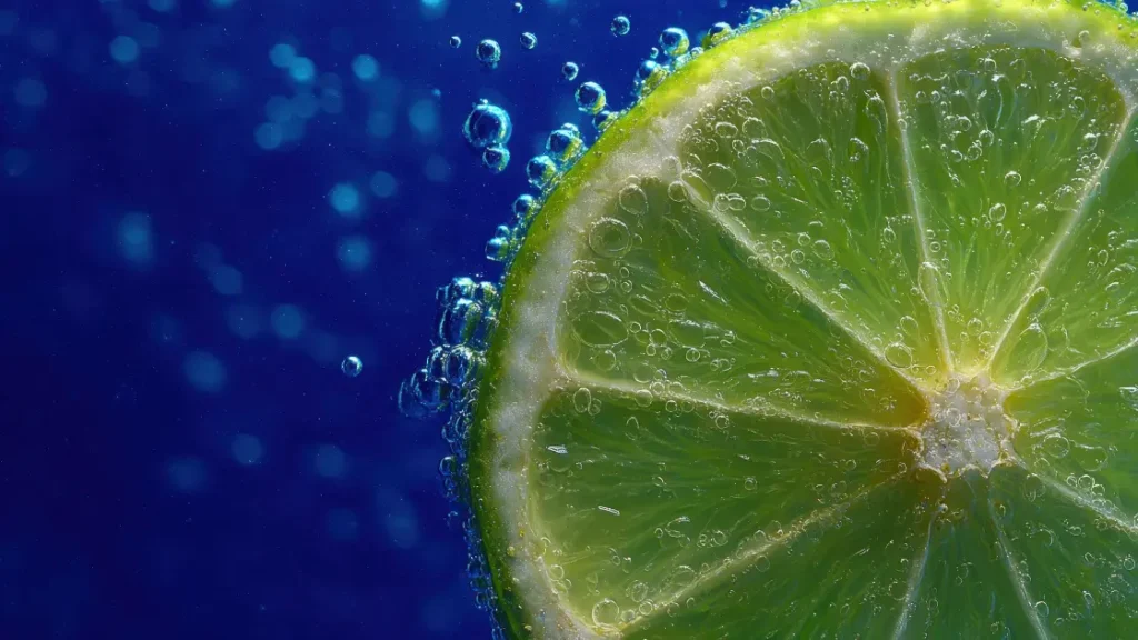 Lemon Lime Sparkling Water